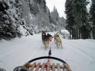  Team Building en la nieve